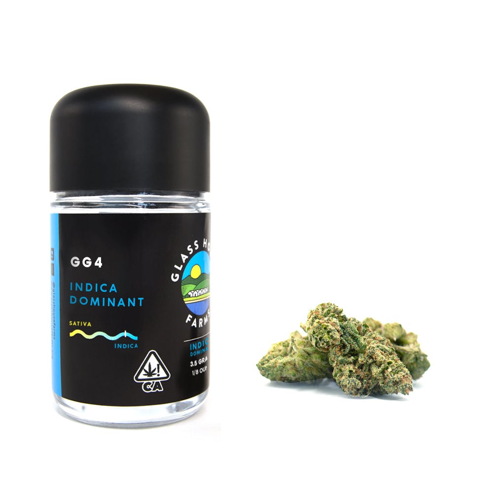 GG#4