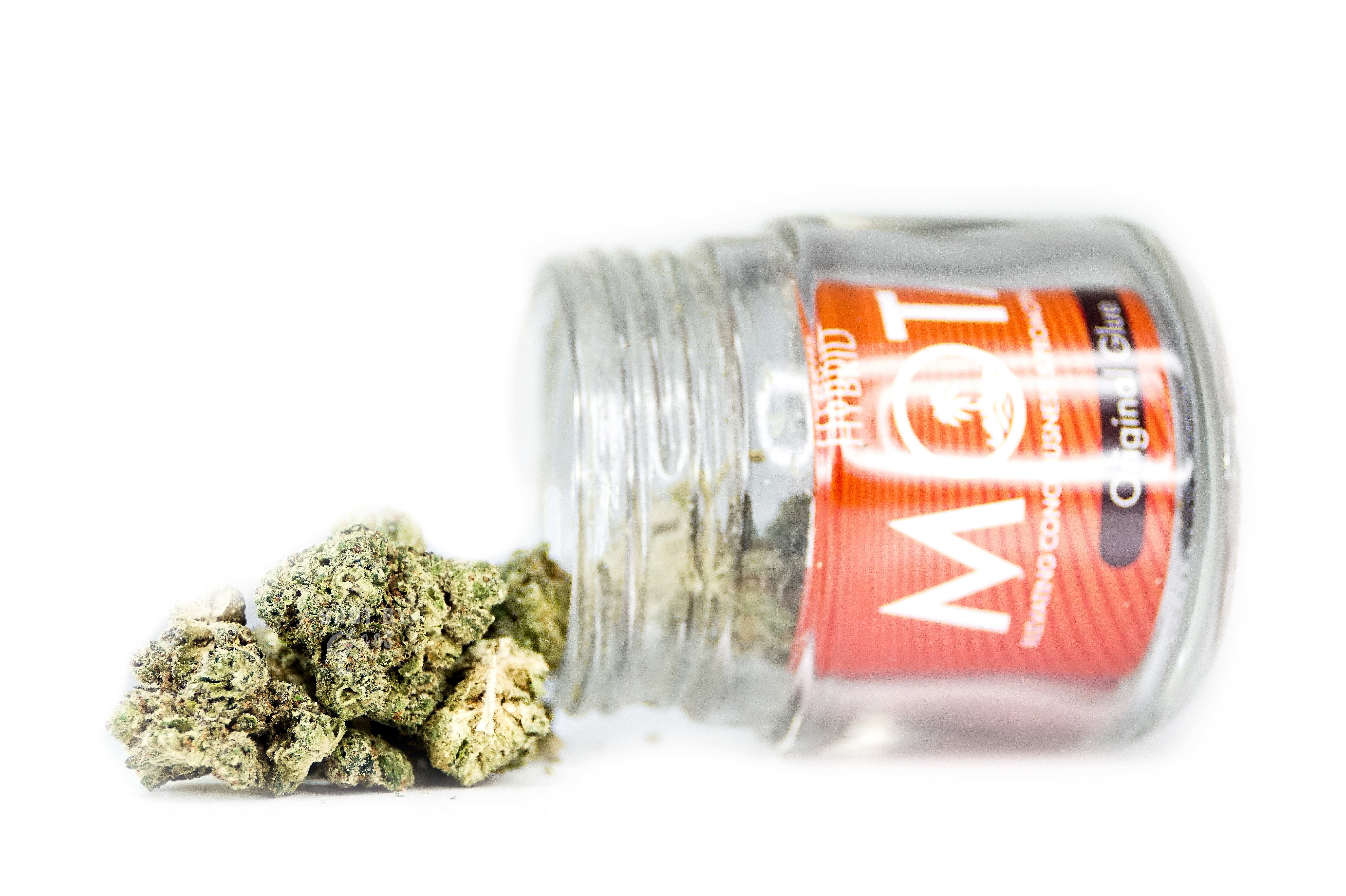 ORIGINAL GLUE