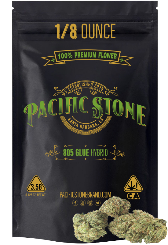 805 GLUE