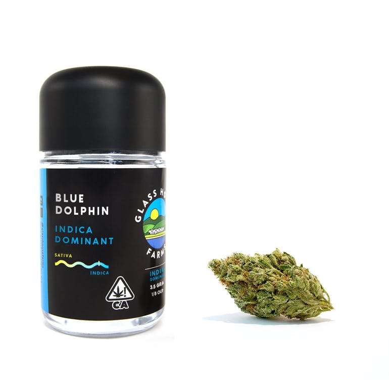 BLUE DOLPHIN