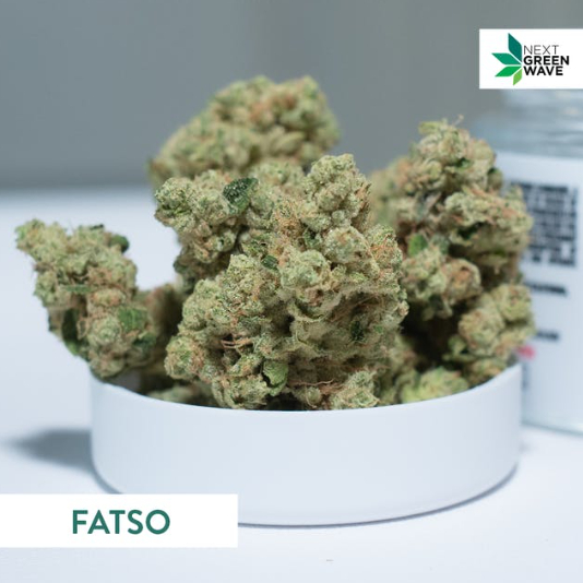 FATSO